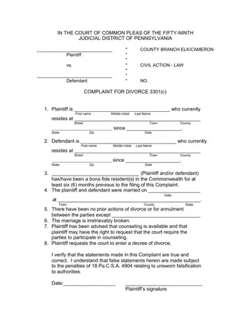 Divorce Form In PA Preview