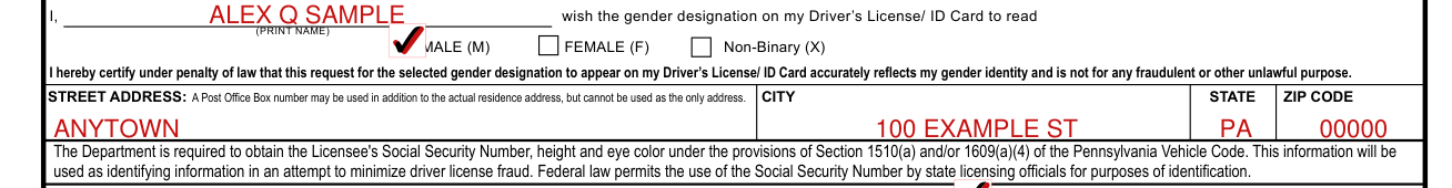 Form DL-180R example filled out, city street address