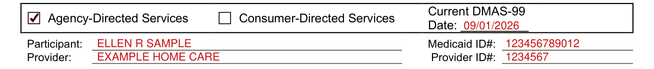 Form DMAS 97 A/B example filled out, agency-Directed or Consumer-Directed Services, Participant and Provider