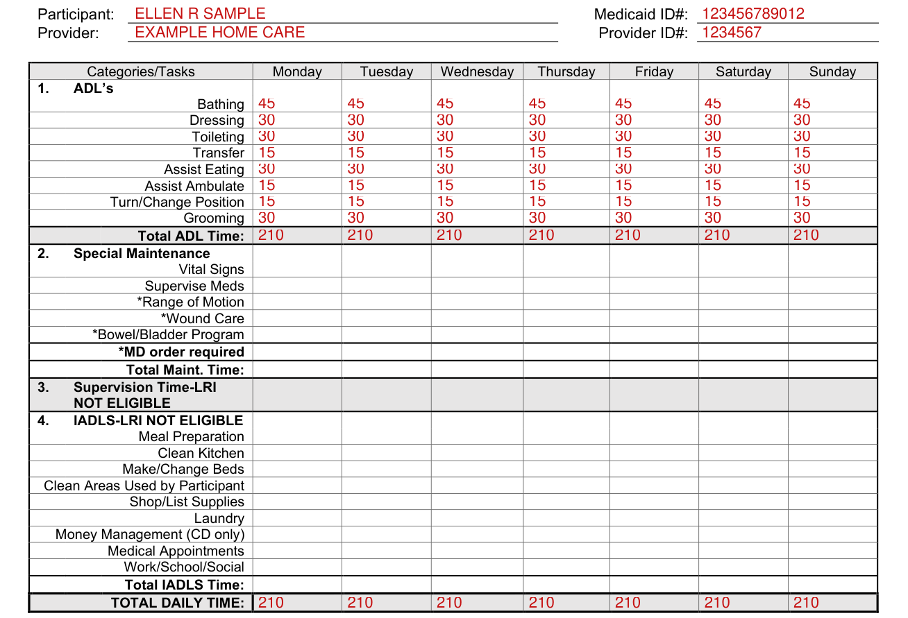 Form DMAS 97 A/B example filled out, categories/Tasks for each day