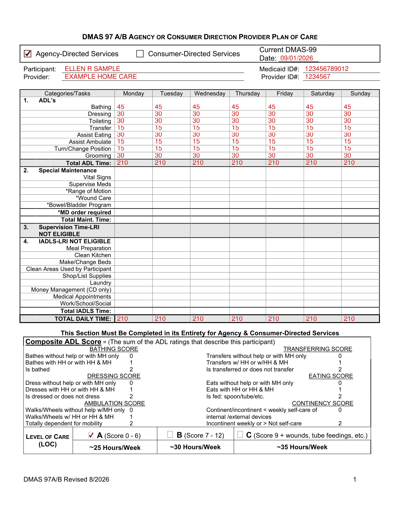 Form DMAS 97 A/B example filled out, example: an agency-directed plan for a new admission