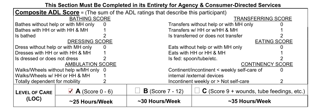 Form DMAS 97 A/B example filled out, level of Care (LOC)