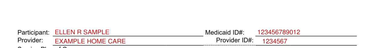 Form DMAS 97 A/B example filled out, participant and Provider on the second page