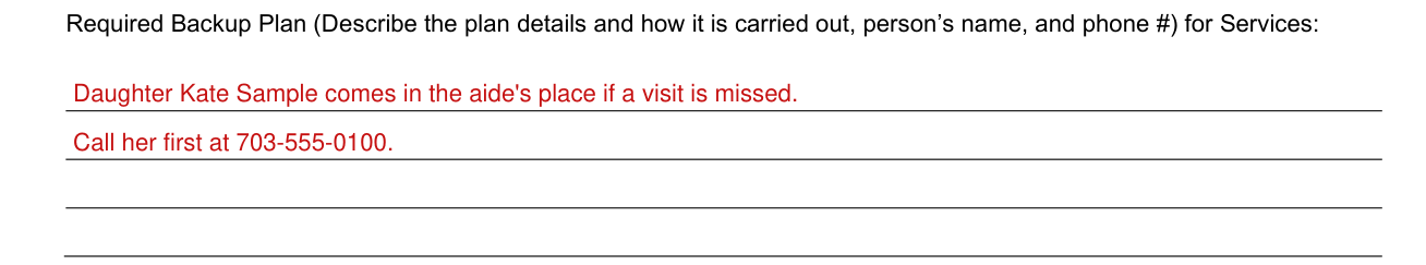 Form DMAS 97 A/B example filled out, required Backup Plan