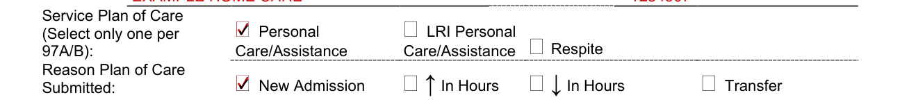 Form DMAS 97 A/B example filled out, service Plan of Care