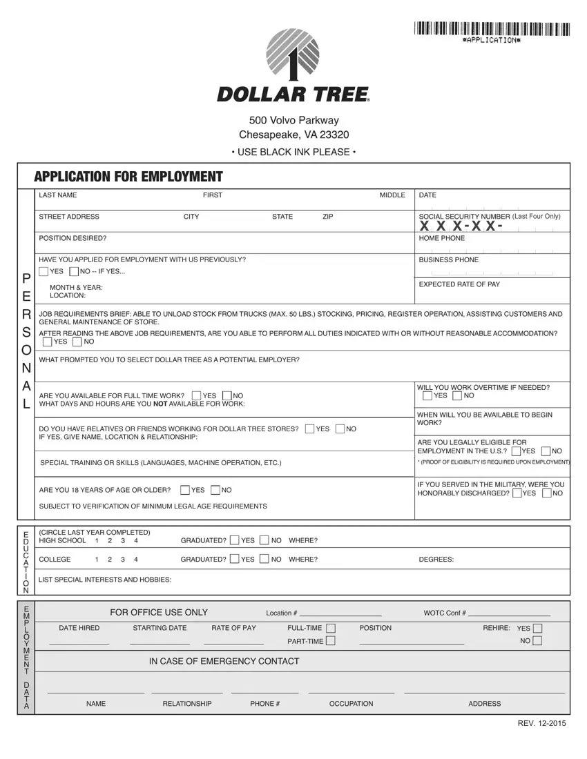 Dollar Tree Printable Application first page preview