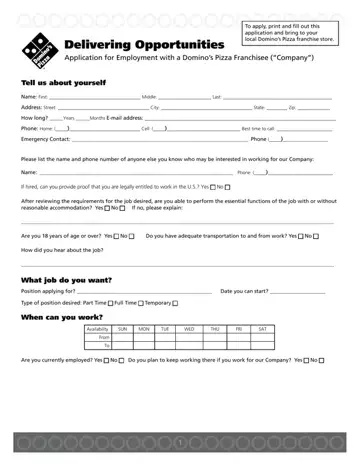 Dominos Application Form Preview