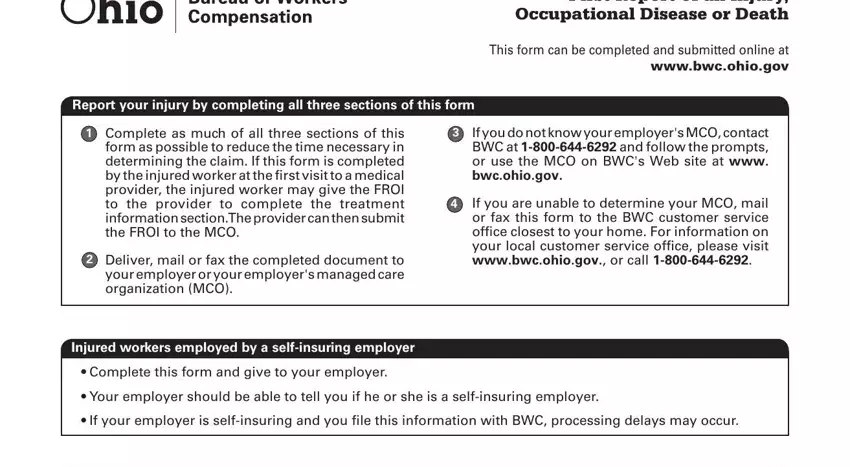 entering details in ohio bwc froi step 1