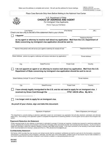 Ds 3032 Form Preview
