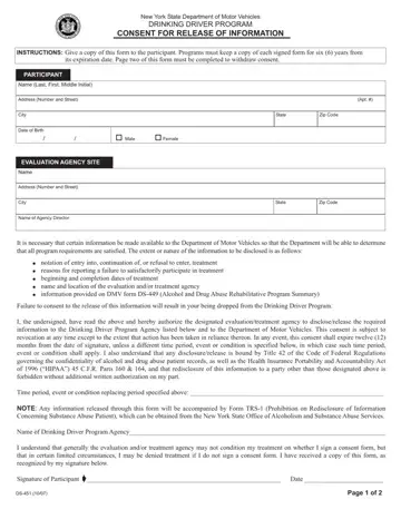 Ds 451 Form Preview