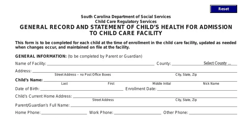 example of fields in south carolina dss facility