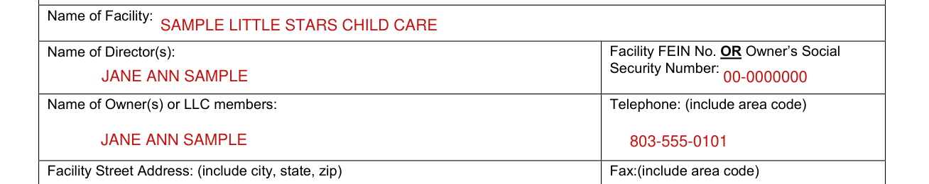 DSS Form 2902 example filled out, name of Director(s), Facility FEIN No. OR Owner's Social Security Number and Name of Owner(s)