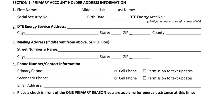 apply for lsp program online SECTION  PRIMARY ACCOUNT HOLDER, First Name, Middle Initial, Last Name, Social Security No, Birth Date, DTE Energy Acct No, digit number at top right corner, DTE Energy Service Address, City, State, ZIP, County, Mailing Address if different from, and Street Number  Name blanks to insert