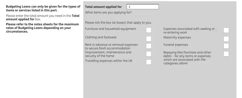 step 4 to entering details in fill an application on line for a social fund