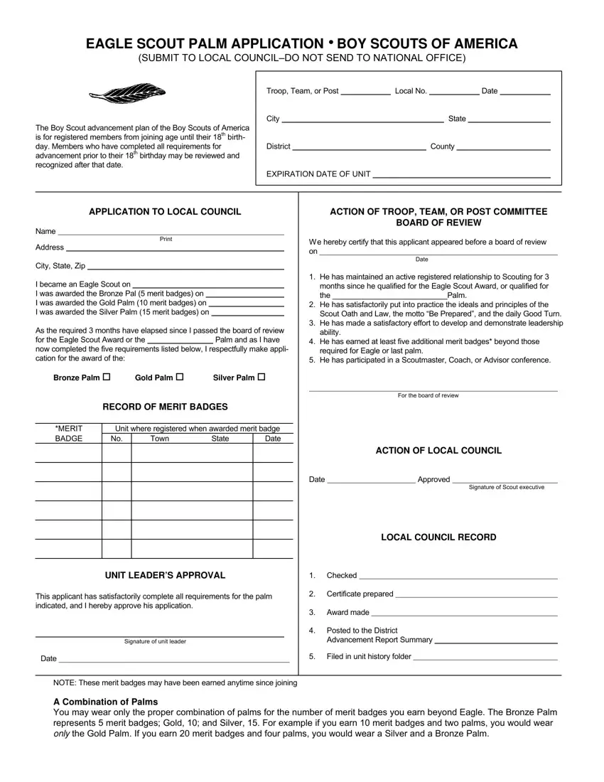 Eagle Scout Palm Application first page preview