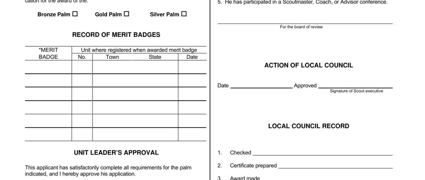 part 2 to filling out boy scouts palm