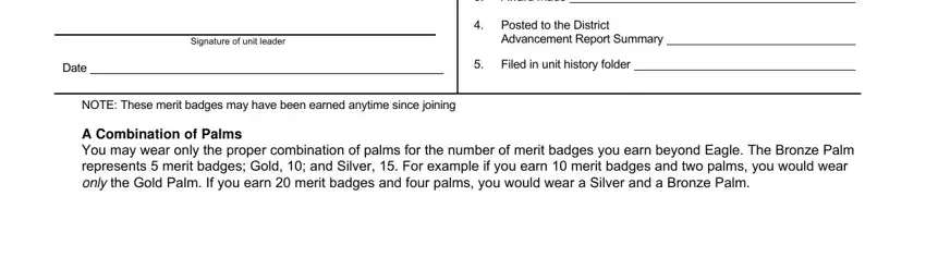 stage 3 to entering details in boy scouts palm