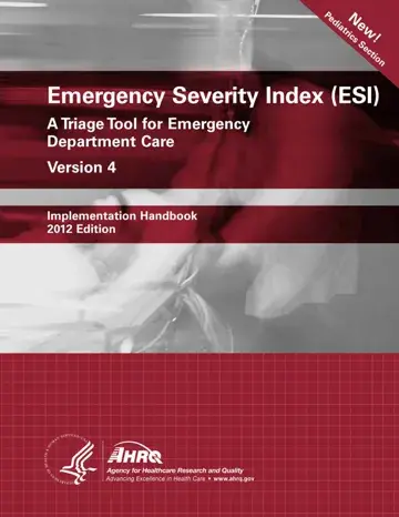 Emergency Severity Index Form Preview