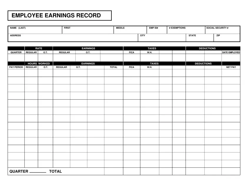 Employee Earnings Record first page preview