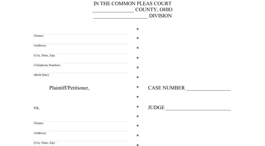 example of empty spaces in emergency custody paperwork ohio