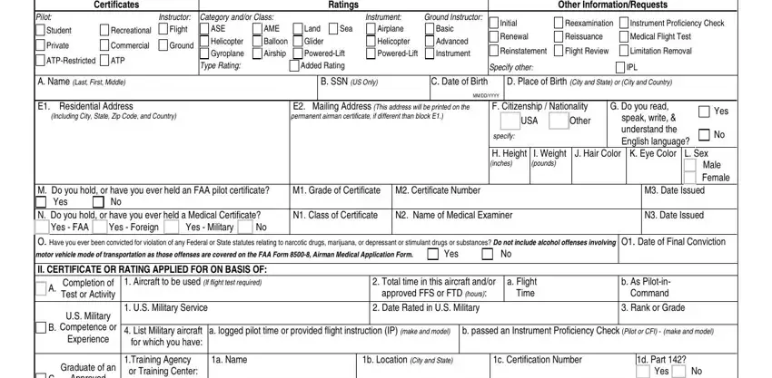 faa 8710 form fields to fill out
