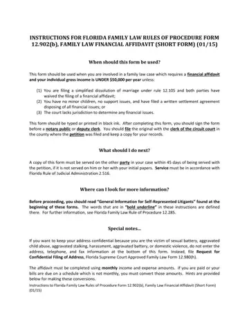 Family Law Financial Affidavit 12 902 B Preview