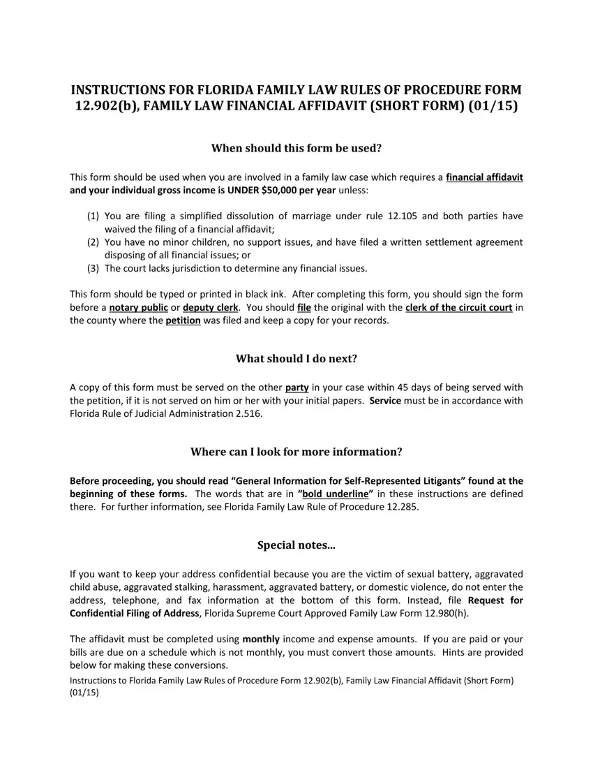 Family Law Financial Affidavit 12 902 B first page preview