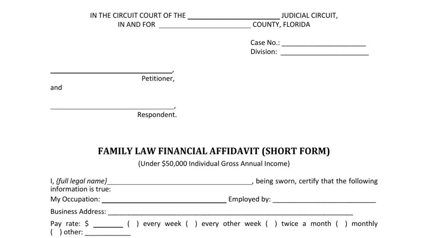 example of empty fields in financial affidavit short form