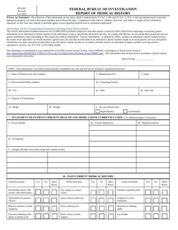 Fd 1065 Form Preview