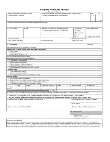 Federal Financial Report Form Preview