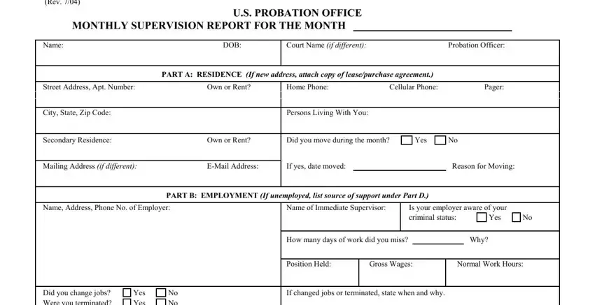 federal probation monthly report spaces to complete