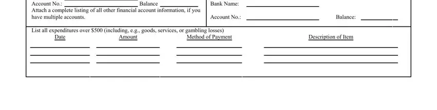 federal probation monthly report Balance, BankName, AccountNo, Date, Amount, MethodofPayment, Balance, and DescriptionofItem blanks to complete