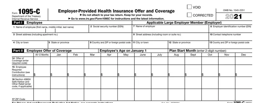 example of blanks in fillable 1095c