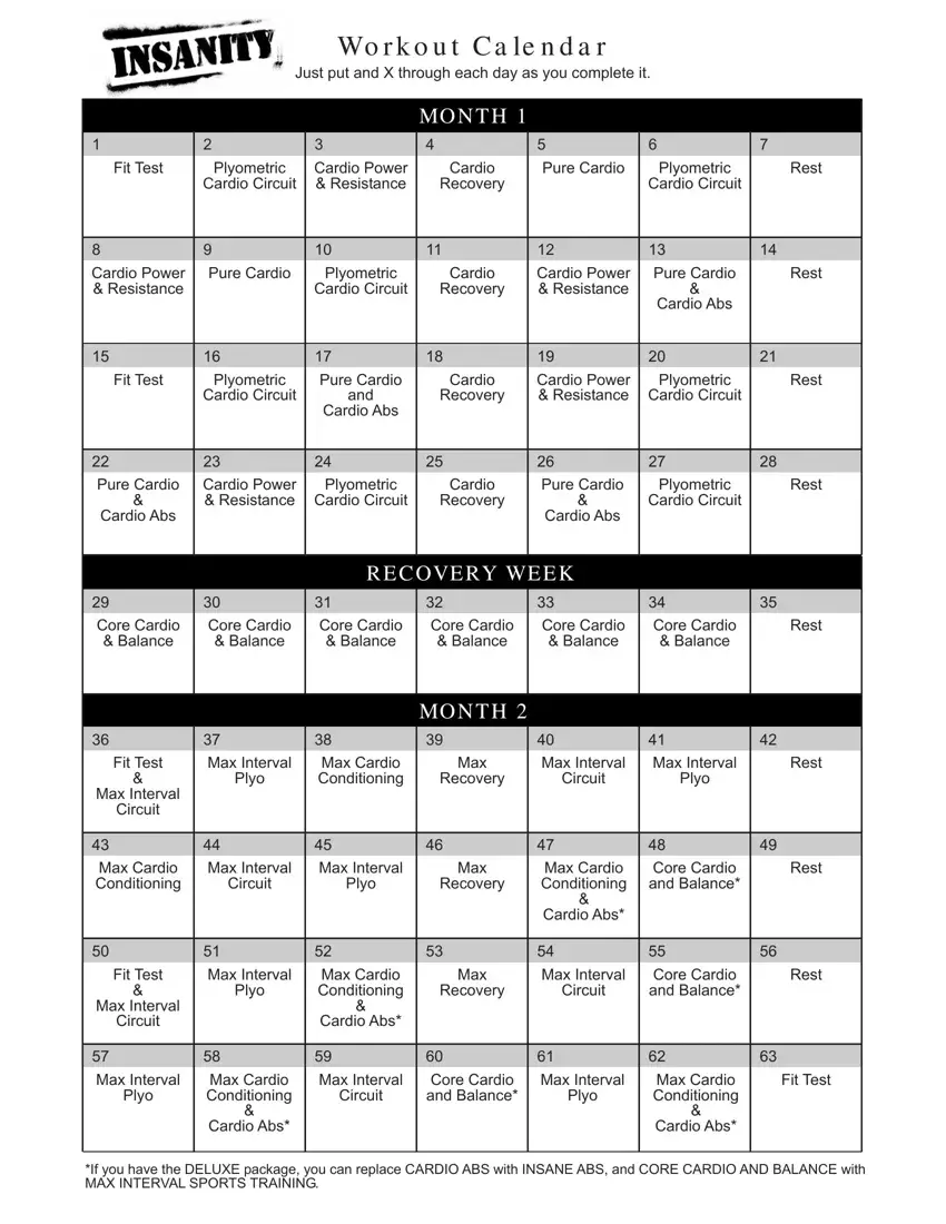 Fillable Workout Calendar first page preview