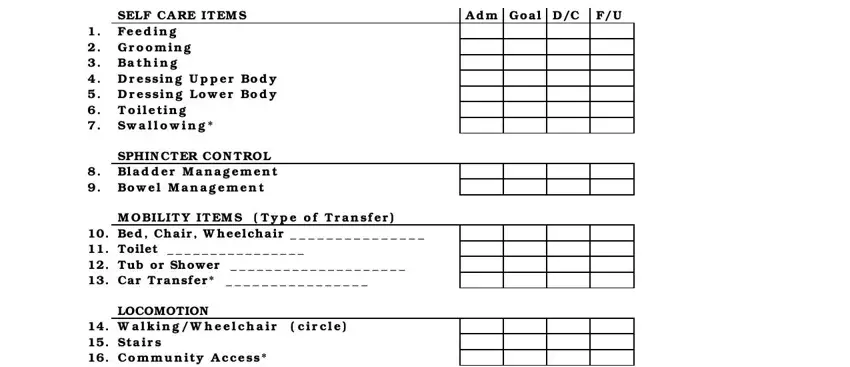 fim scale chart Fim score sheet