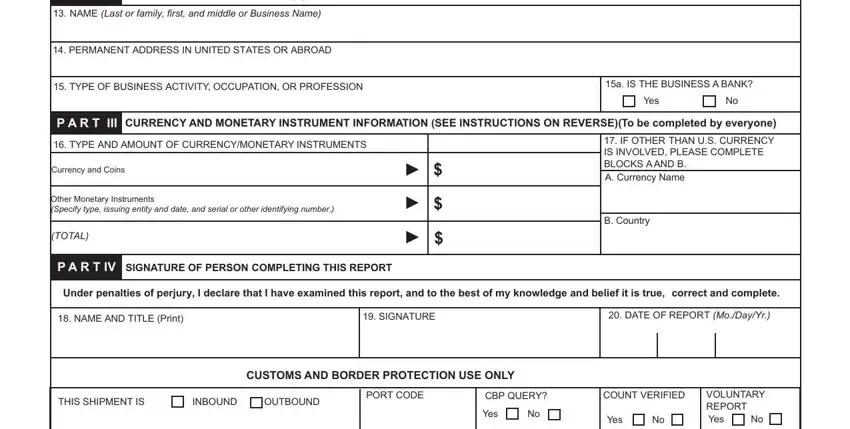 Filling in fincen pdf stage 2