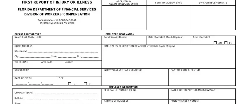 portion of empty spaces in report of injury form florida