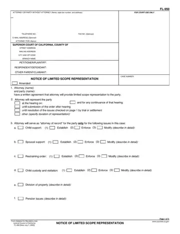 Fl 950 Limited Scope Representation Form Preview