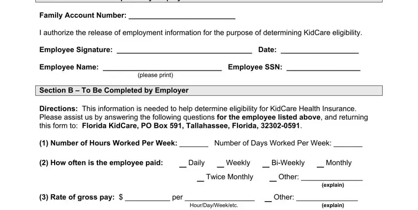 florida kidcare form fields to fill out