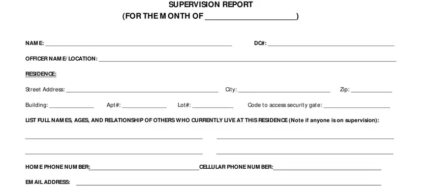 probation report forms template empty fields to fill out