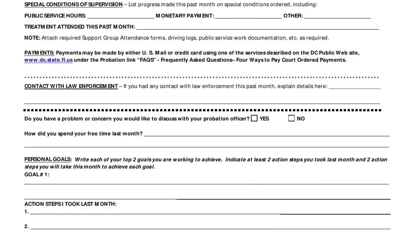 Completing probation report forms template part 4