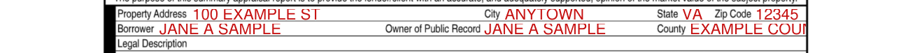 Form 1004 example filled out, property Address, Borrower and Owner of Public Record