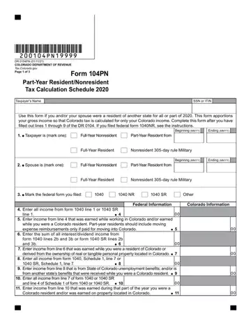 Form 104Pn Preview