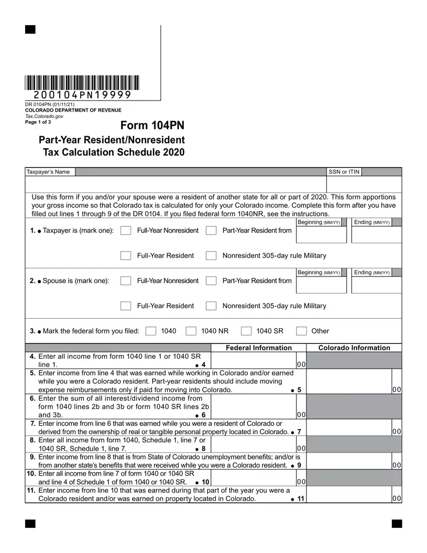 Form 104Pn first page preview