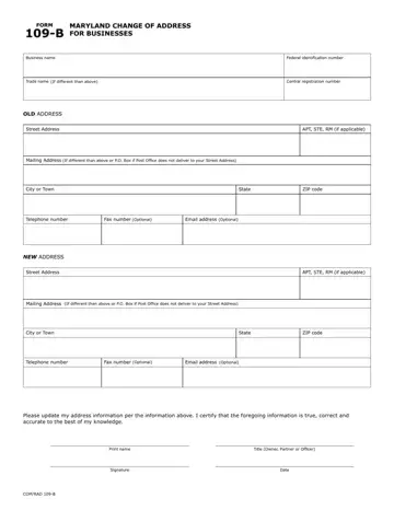 Form 109 B Preview