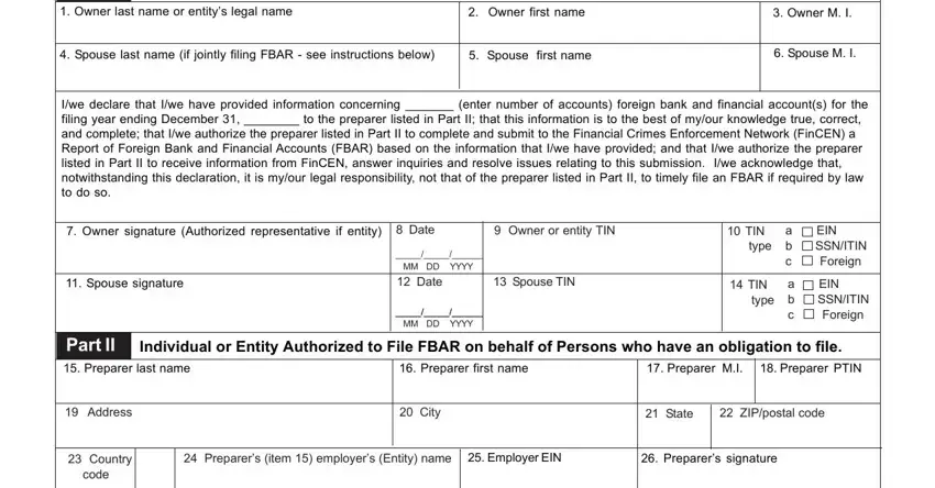 writing file fincen 114 stage 1