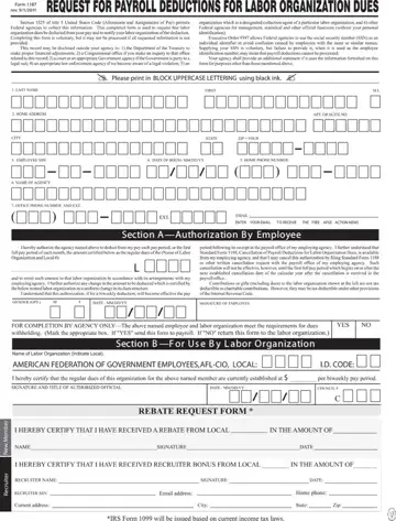 Form 1187 Preview