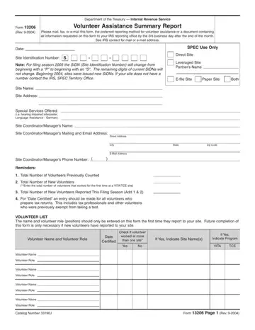 Form 13206 Preview
