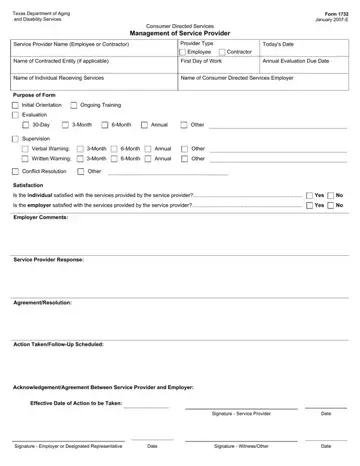 Form 1732 Preview