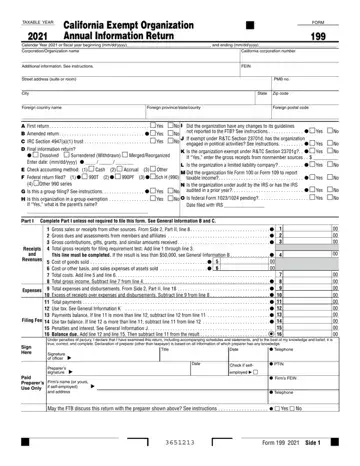 Form 199 Preview